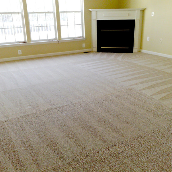 Carpet Cleaning